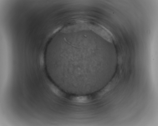 X0000114680353200910211215