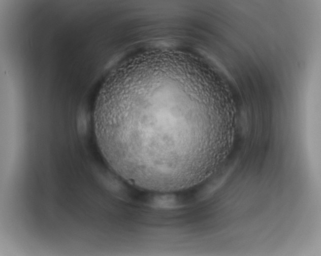 X0000114680355200910211215