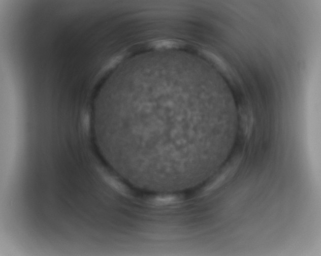 X0000114680357200910211215