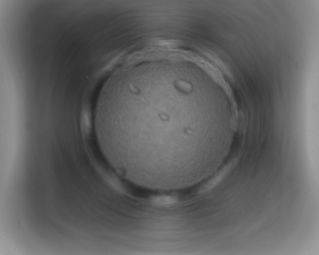 X0000114680358200910211215
