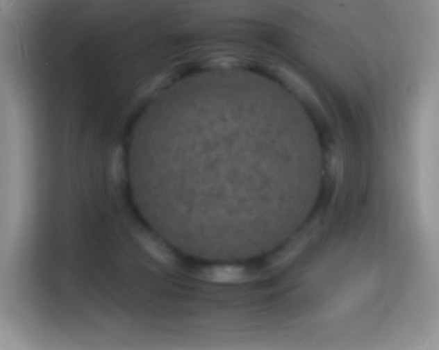 X0000114680361200910211215