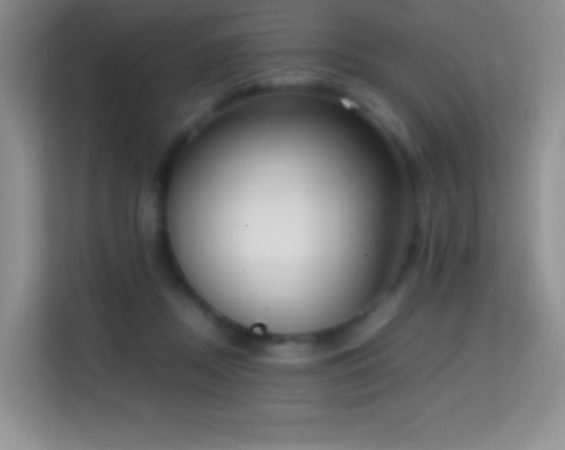 X0000114680362200910211215