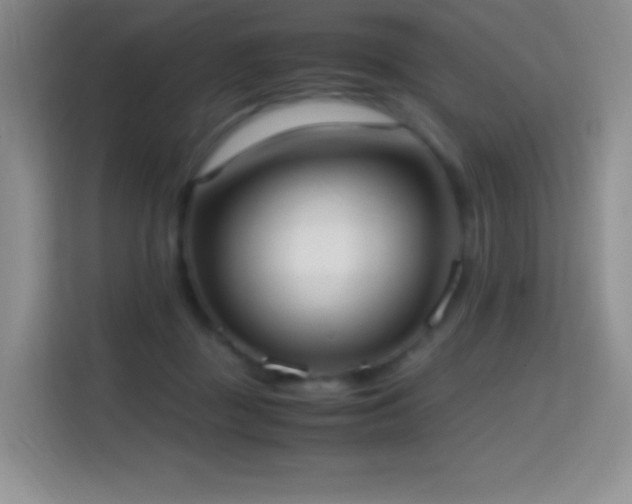 X0000114680363200910211215