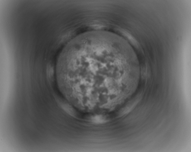 X0000114680365200910211215