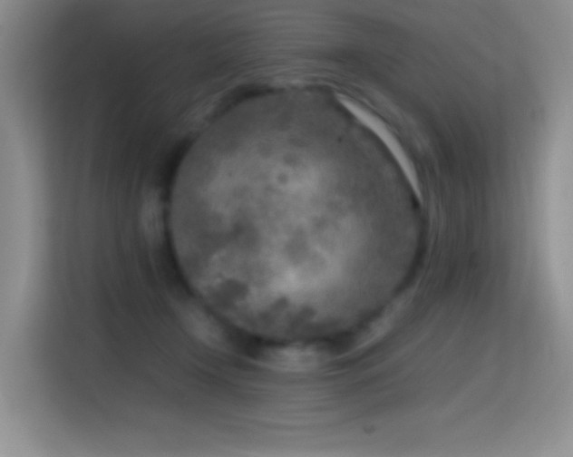X0000114680366200910211215