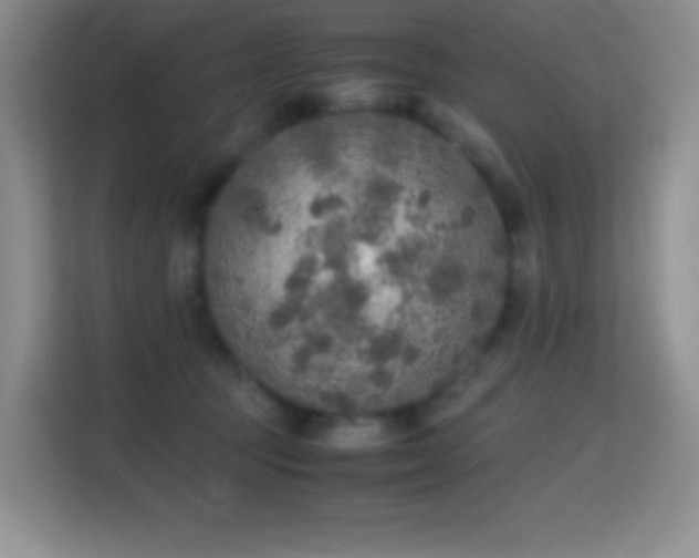 X0000114680369200910211215