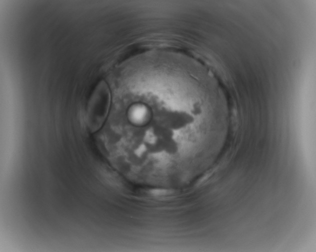 X0000114680371200910211215
