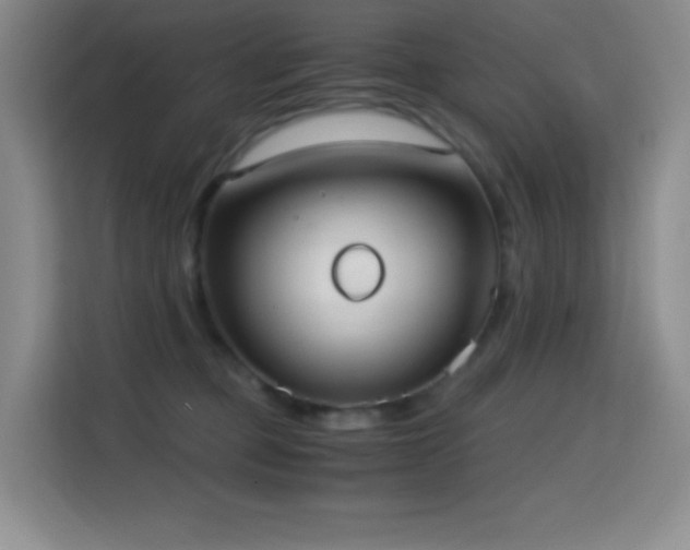 X0000114680373200910211215