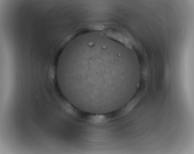 X0000114680374200910211215