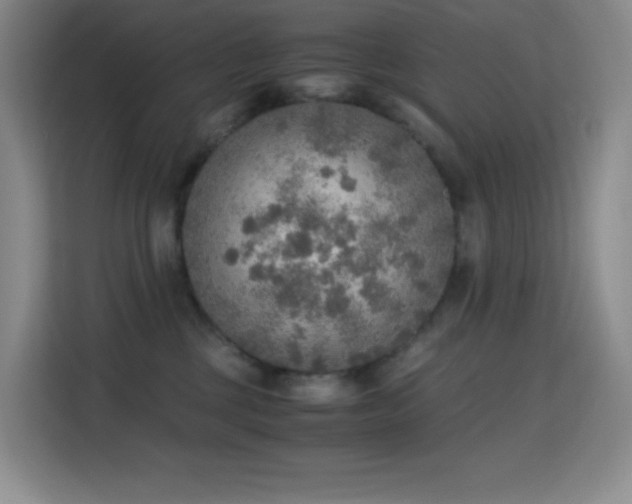 X0000114680377200910211215
