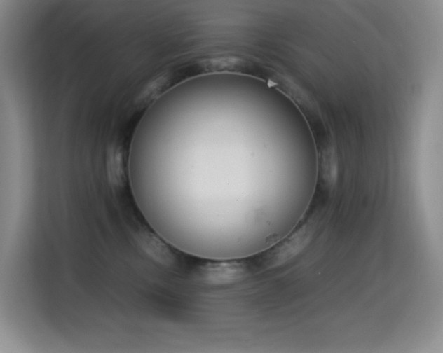 X0000114680378200910211215