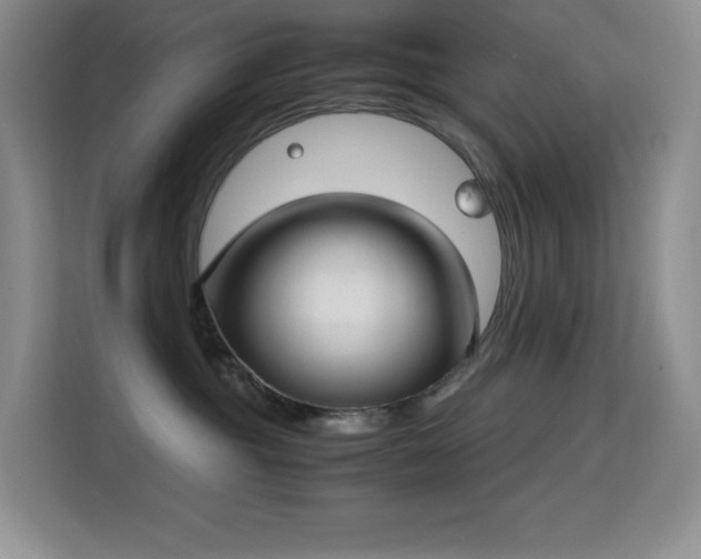 X0000114680381200910211215
