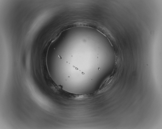 X0000114680382200910211215