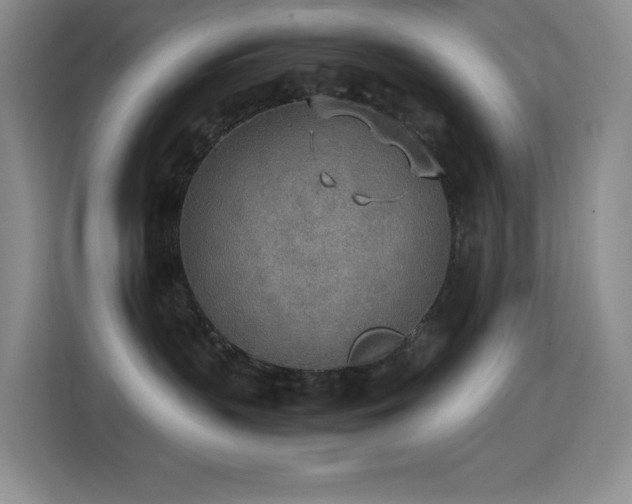 X0000114680383200910211215