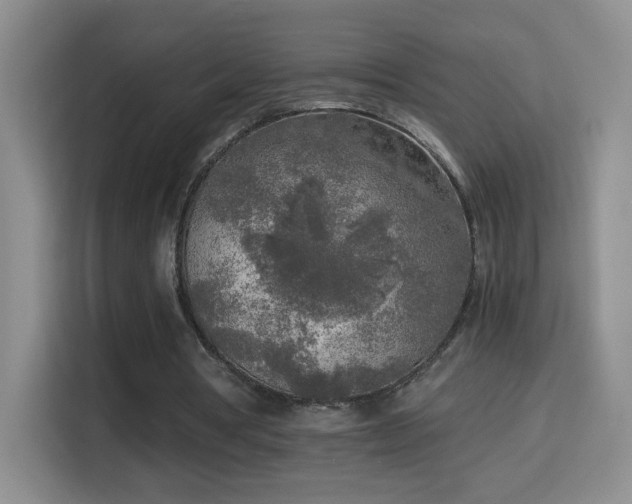X0000114680386200910211214