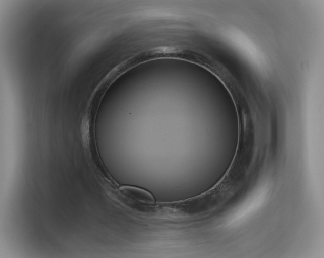 X0000114680387200910211214