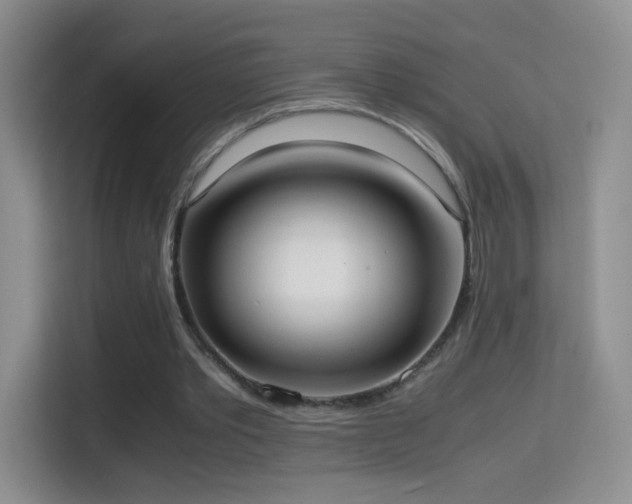 X0000114680389200910211214