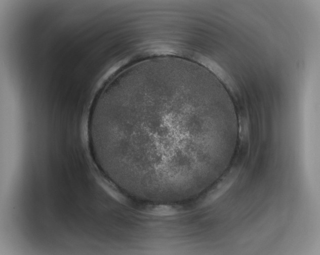 X0000114680390200910211214