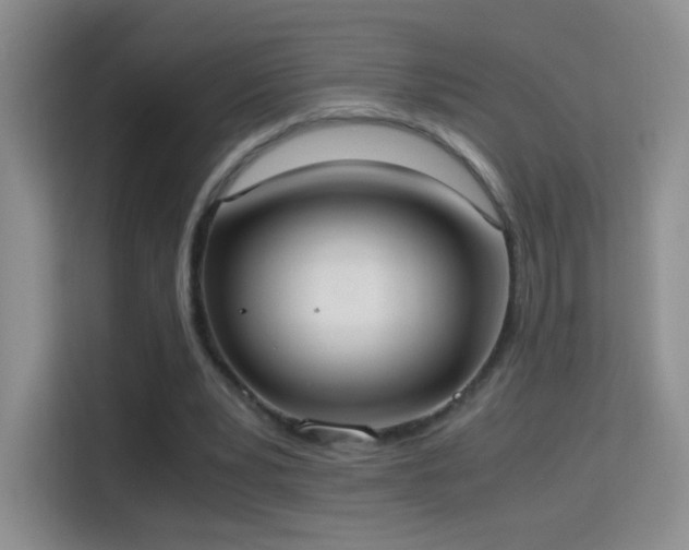 X0000114680391200910211214