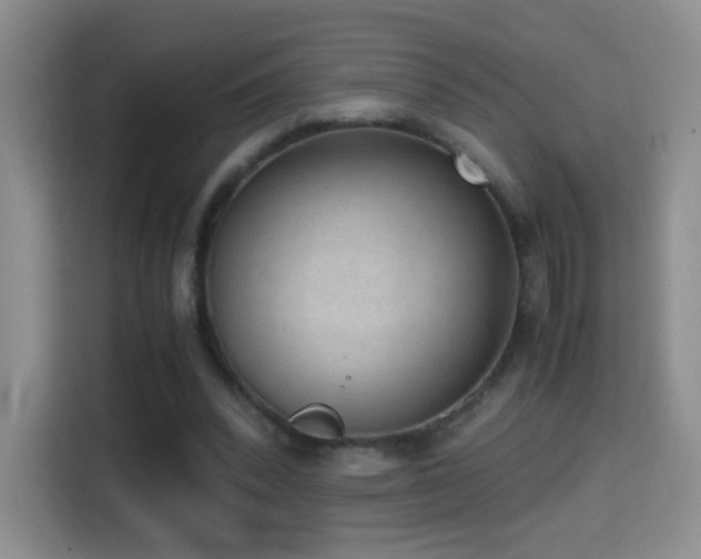 X0000114680392200910211214