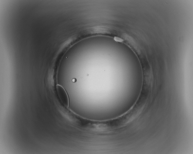 X0000114680395200910211214