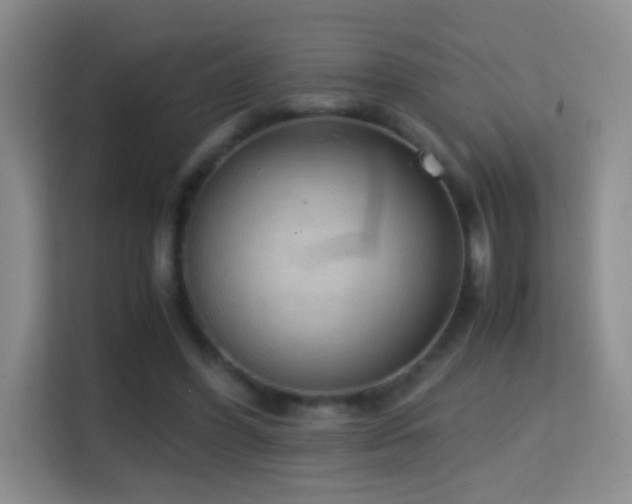 X0000114680396200910211214