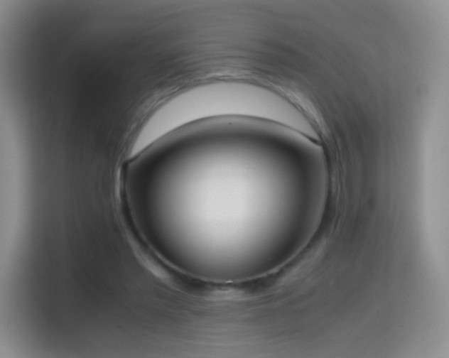 X0000114680397200910211214