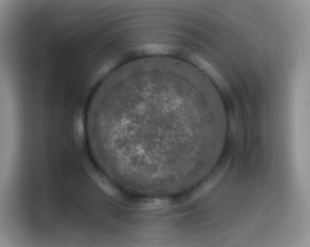 X0000114680398200910211214