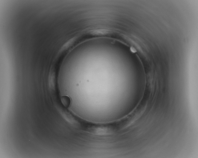 X0000114680400200910211214