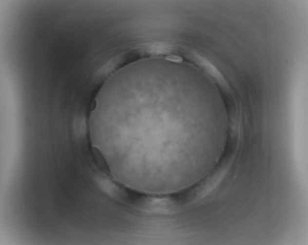 X0000114680401200910211214