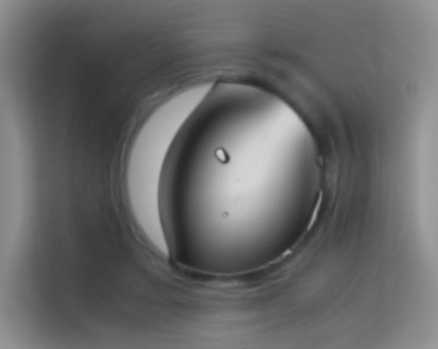 X0000114680403200910211214