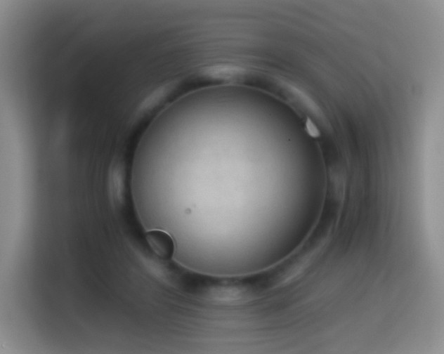 X0000114680404200910211214