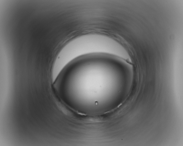 X0000114680405200910211214