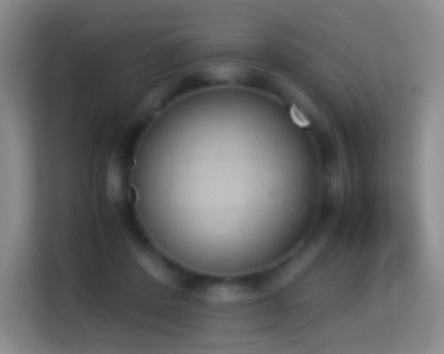 X0000114680408200910211214