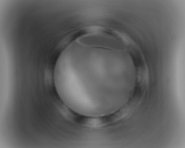 X0000114680409200910211214