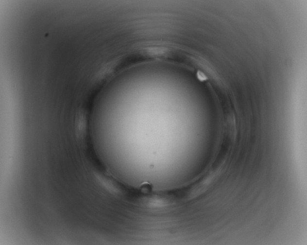 X0000114680412200910211214