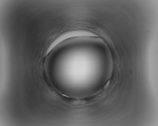 X0000114680415200910211214