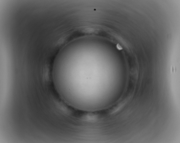 X0000114680416200910211214