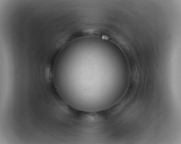 X0000114680420200910211214