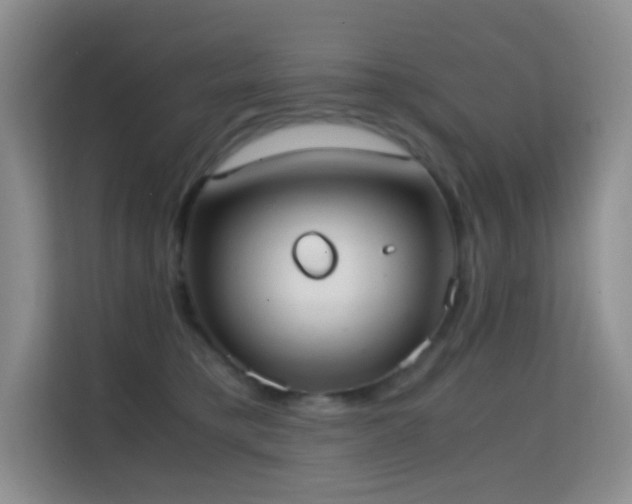 X0000114680421200910211214