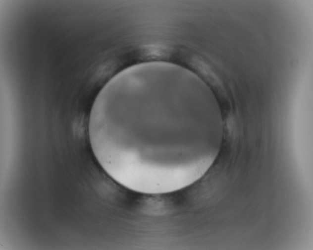 X0000114680423200910211214