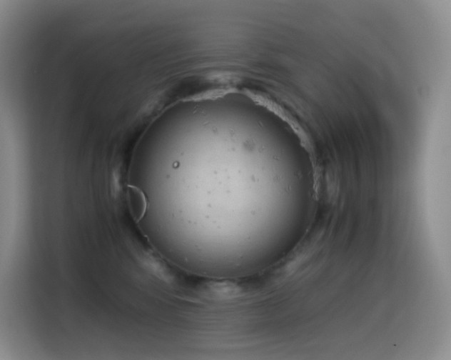 X0000114680424200910211214