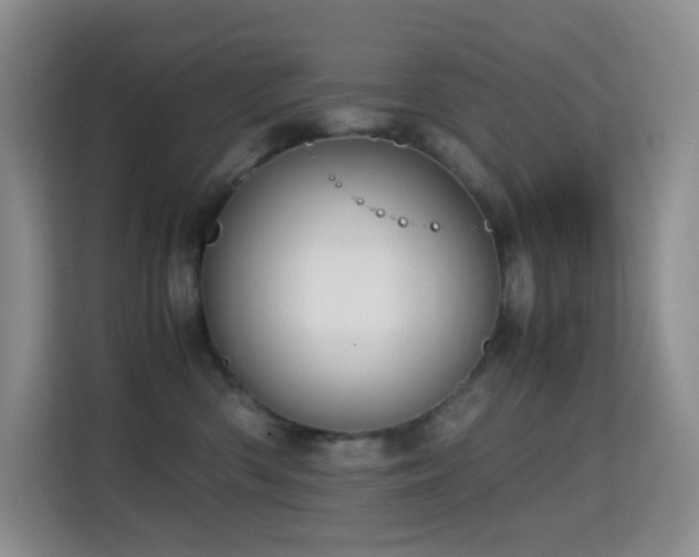 X0000114680426200910211214