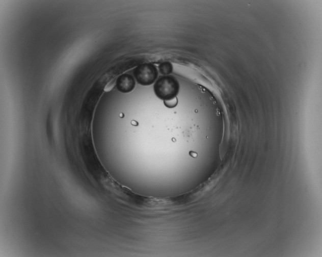 X0000114680429200910211214