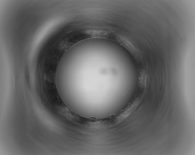 X0000114680430200910211214