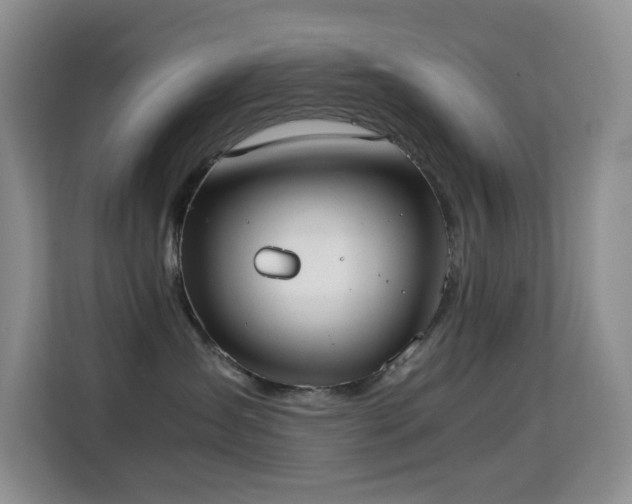 X0000114680431200910211214