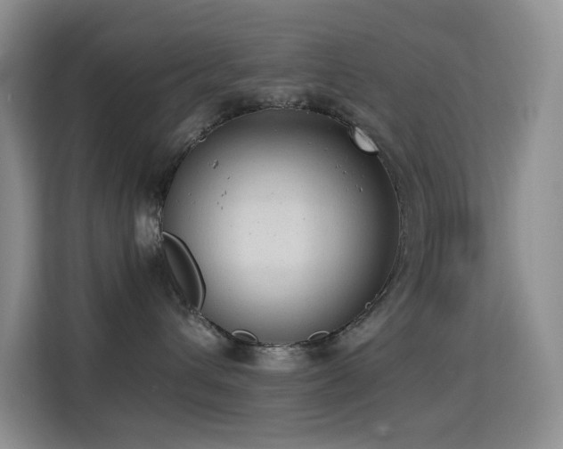 X0000114680432200910211214