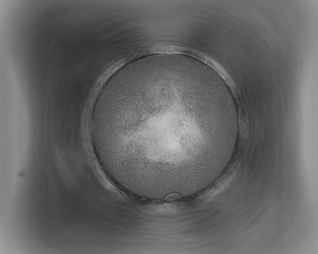 X0000114680433200910211213