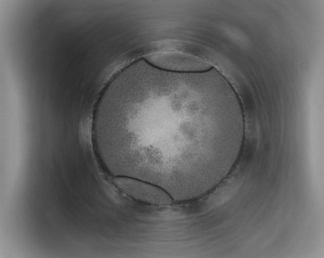 X0000114680434200910211213