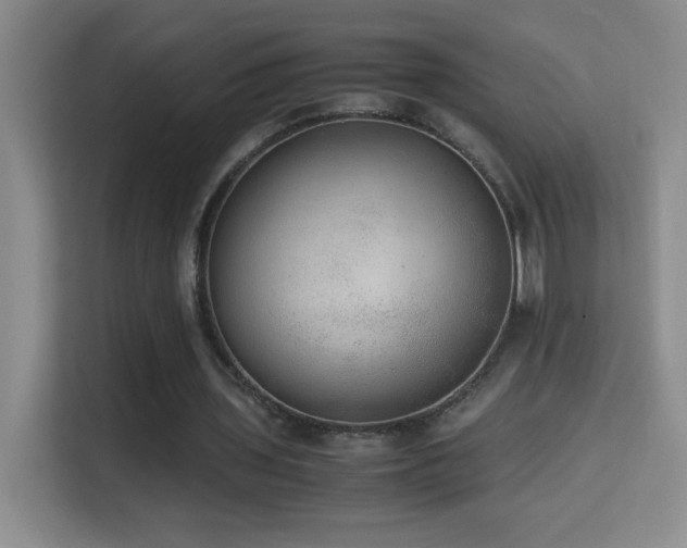 X0000114680435200910211213
